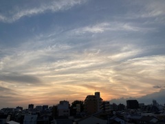 メモリ内掃除 