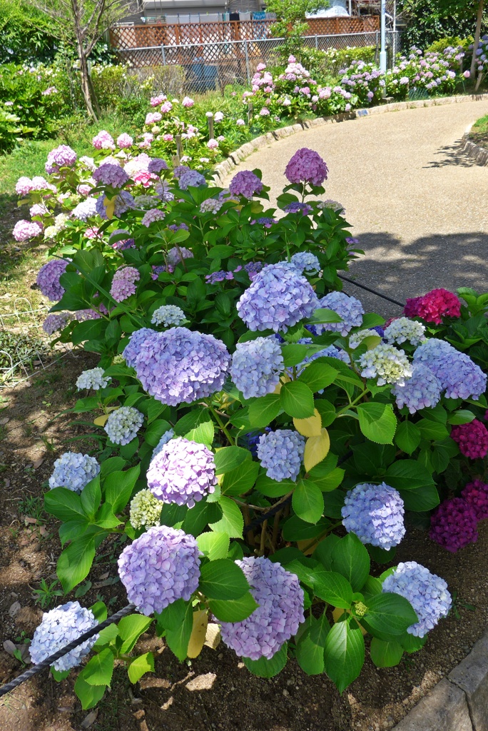 P1380948
