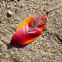 P1060538