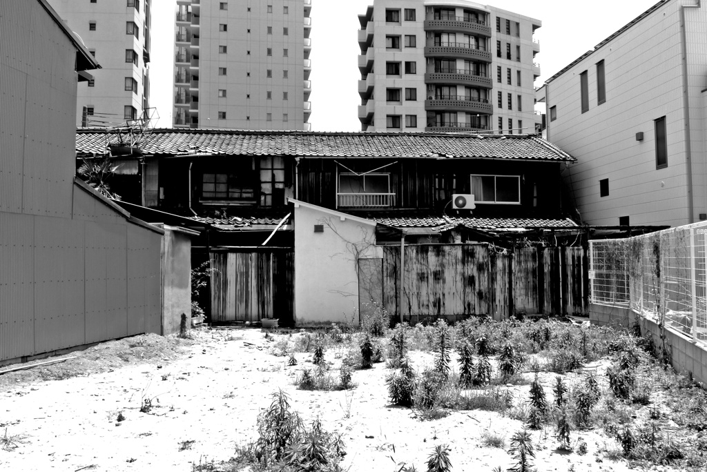 P1350799