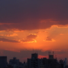 夕焼け