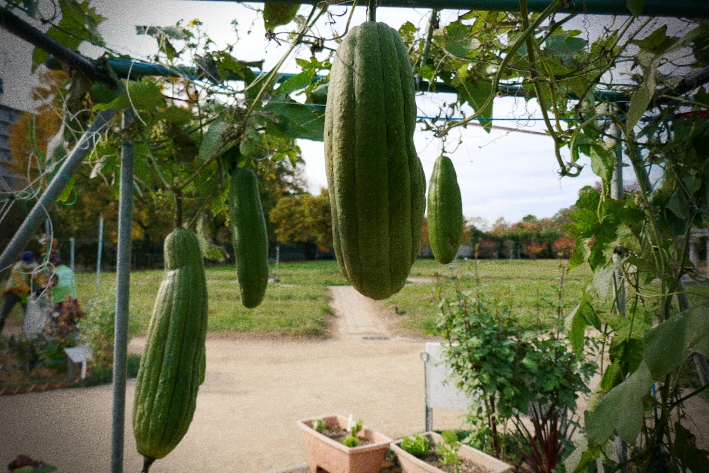 P1300725