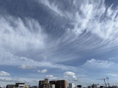 初秋の雲かな？