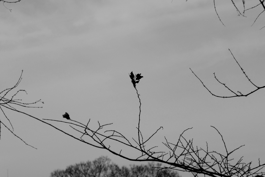 P1270758