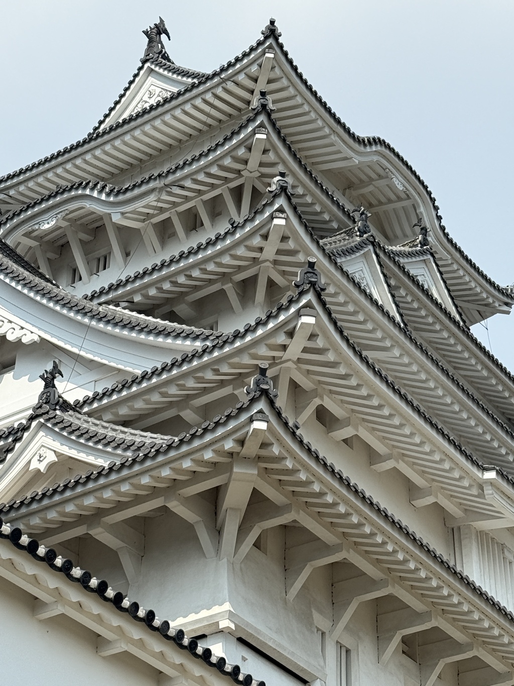 やね やね やね