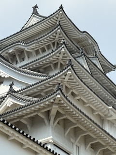 やね やね やね
