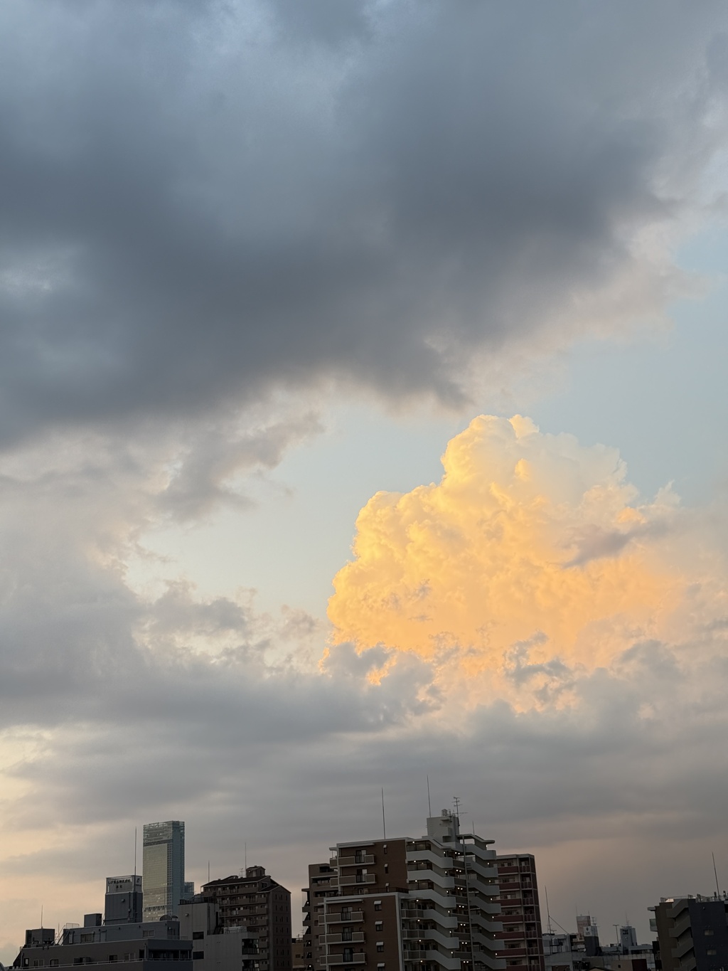 ハルカスと夕曇