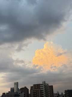 ハルカスと夕曇