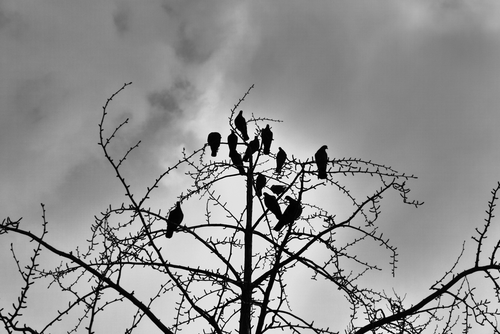 P1160204