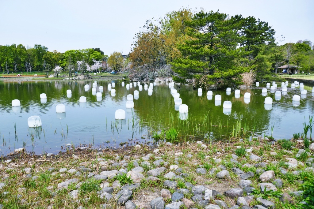 浮かぶキューブ