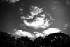 巻き〇ソのような雲