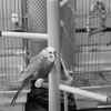 DSCF3652