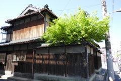 P1190774