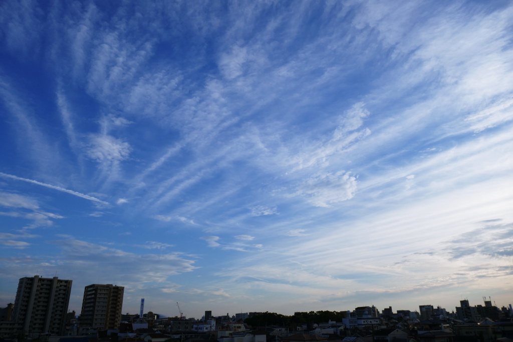 P1290696