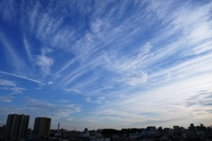 P1290696
