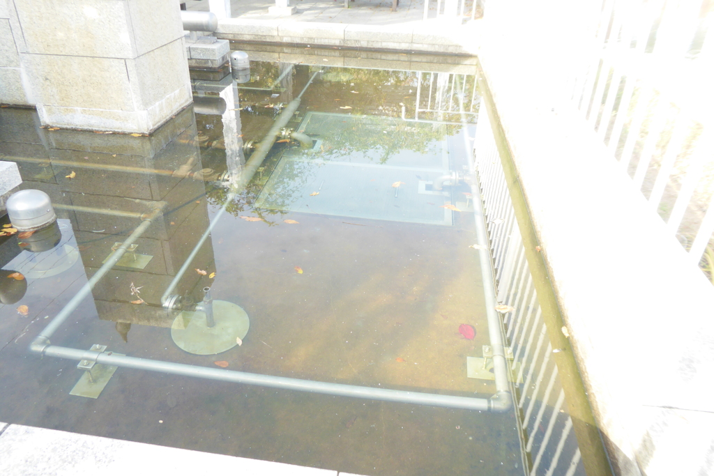 池の中