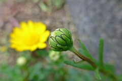 P13208251 (2)