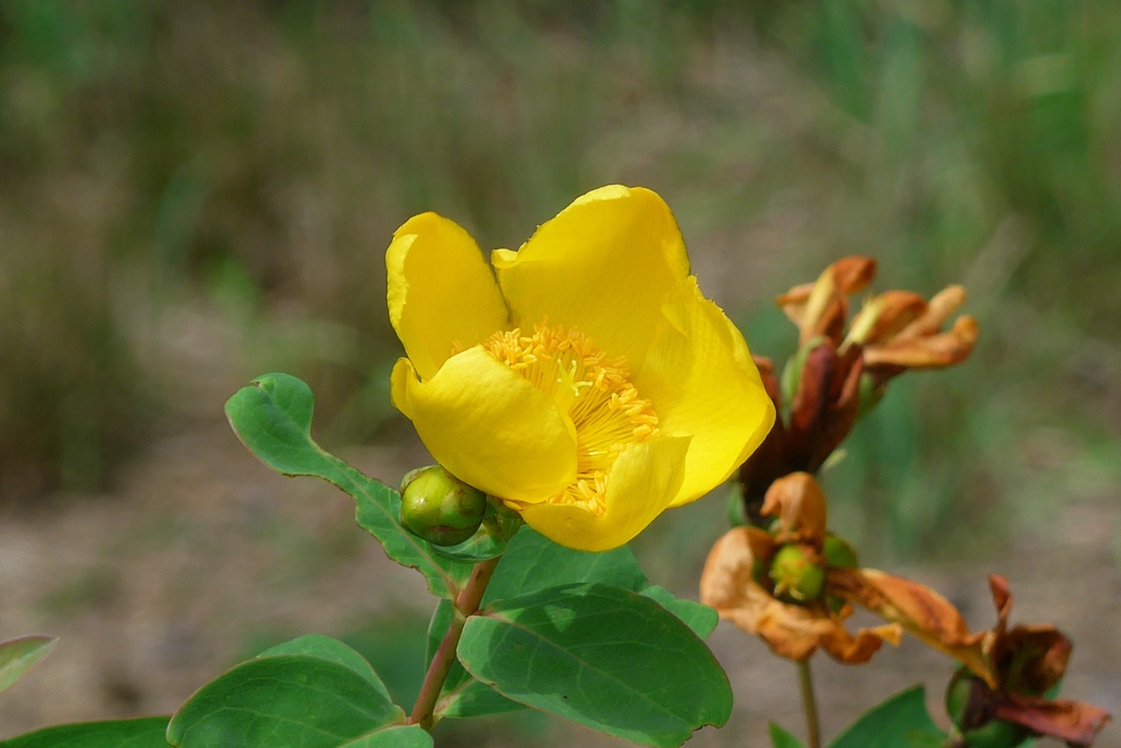 P1380931
