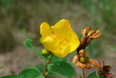 P1380931