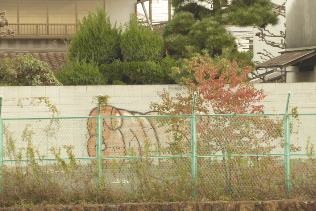 日常 (5)