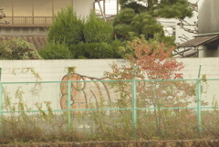 日常 (5)