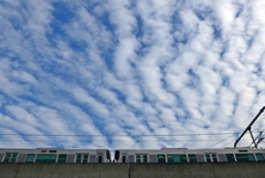 P1370249