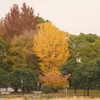 P1330200