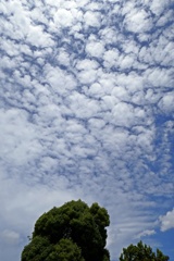 P1000457