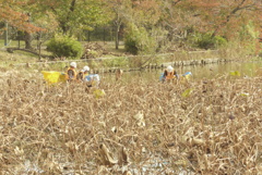 2.清掃し