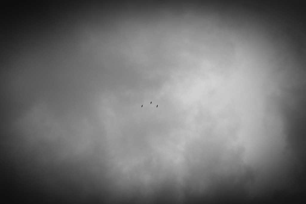 P1080303