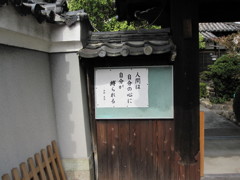 日常ぶらぶら (4)