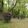P1190720