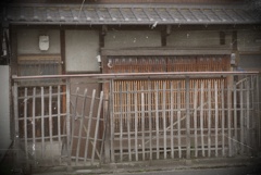 everyday (4)
