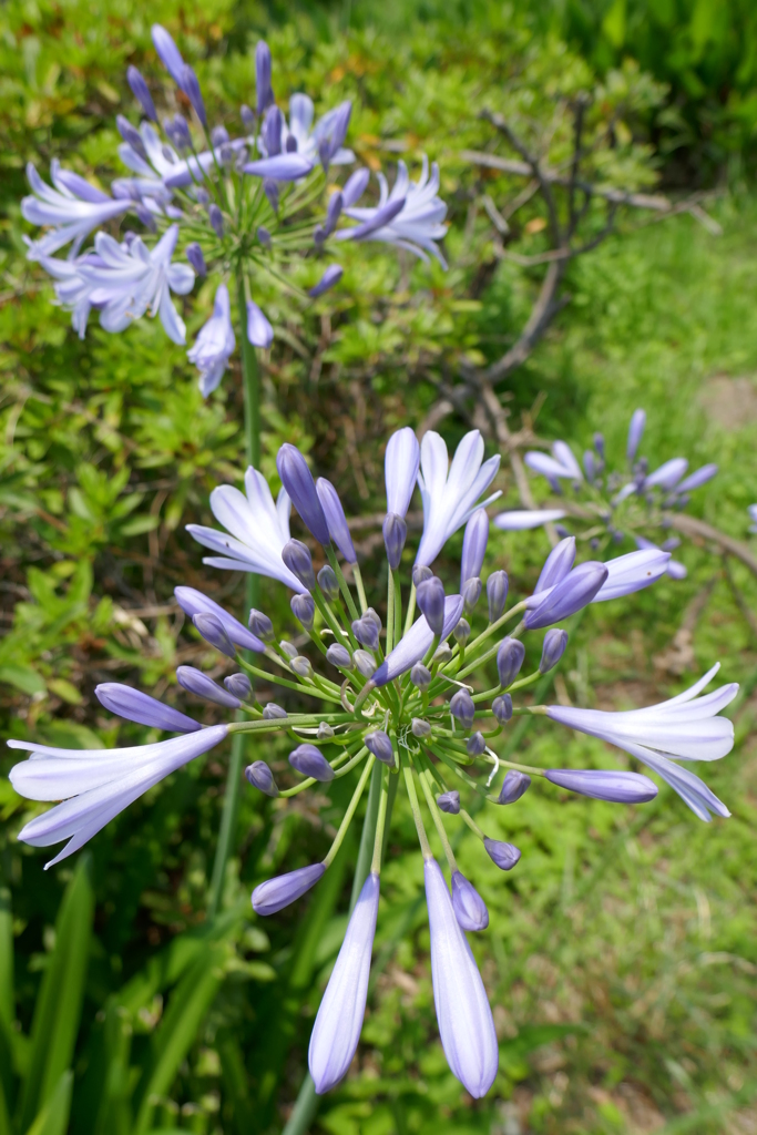 P1000976
