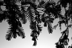 P1060284