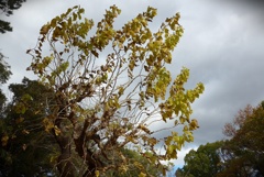 P1410086