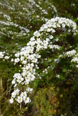 P1320108
