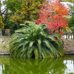 P1060622