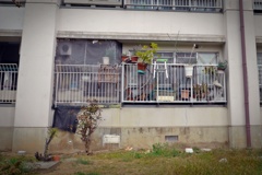 THE・生活