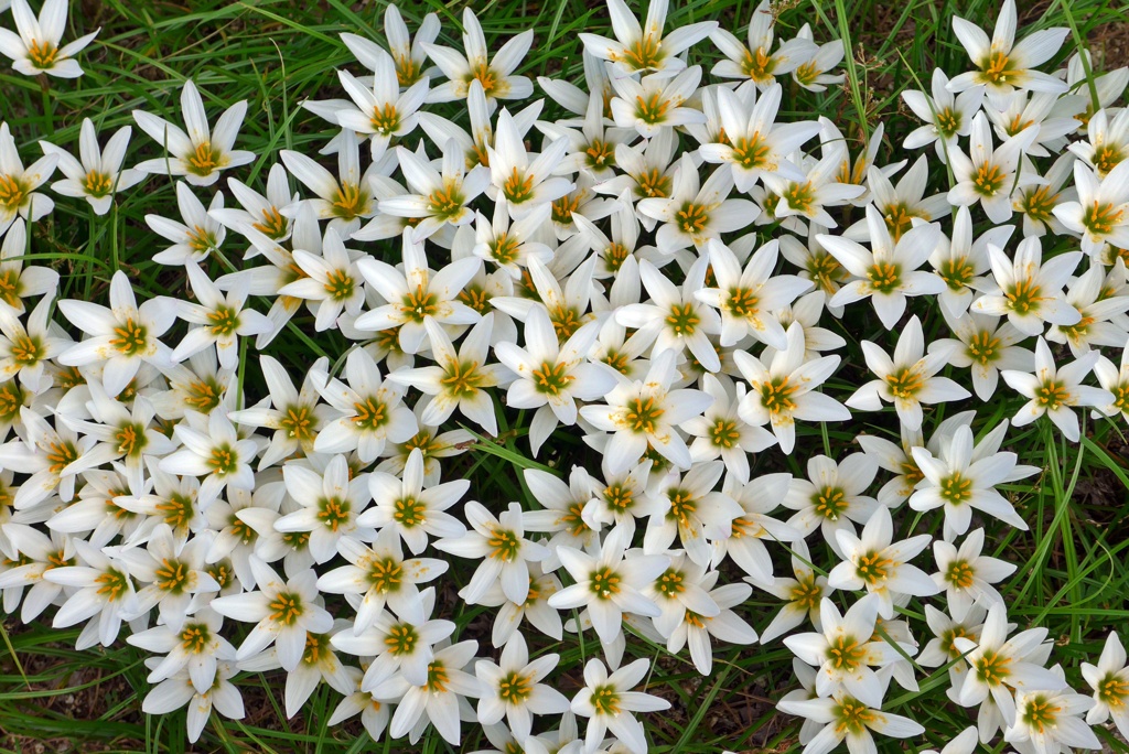 P1400124