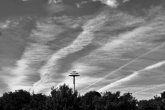 P1290878