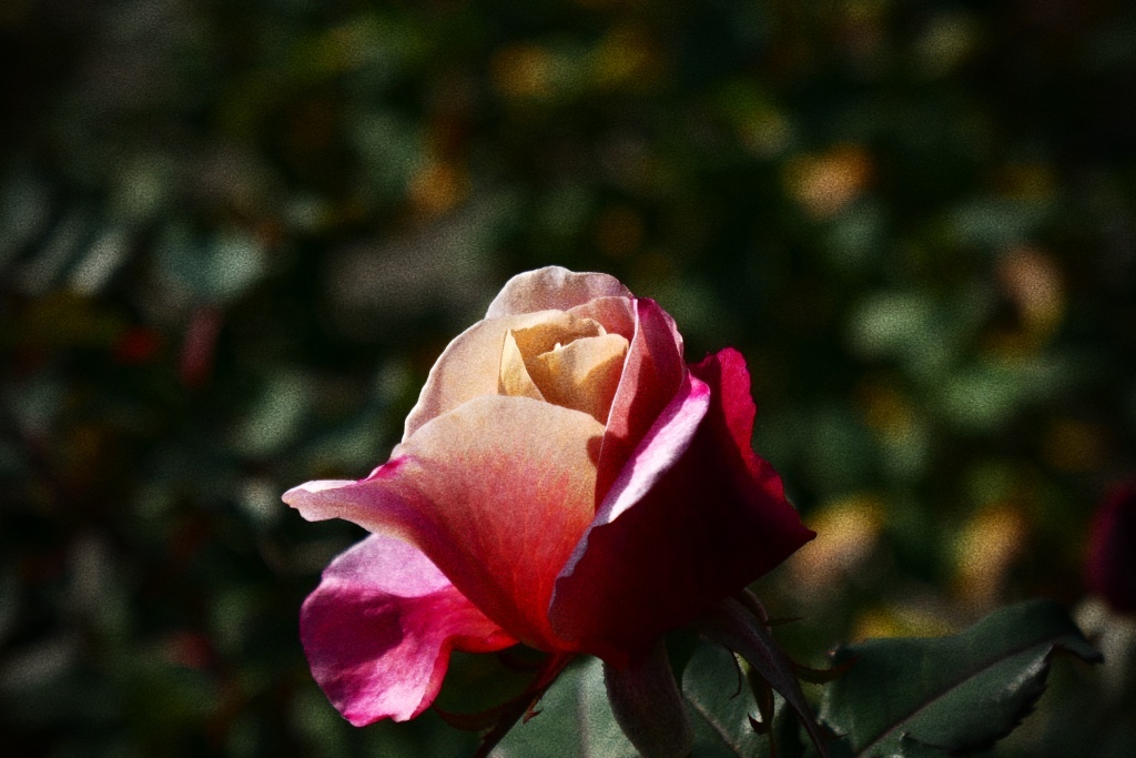 P1300810