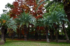 P1160548