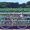 蓮畑と相棒