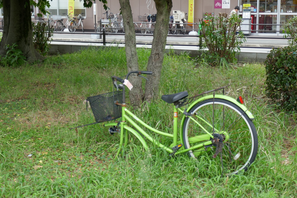 P1030876
