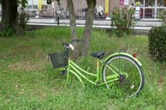 P1030876