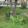 P1030876