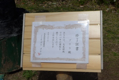 ゴリラ (3)