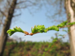 IMG_2300