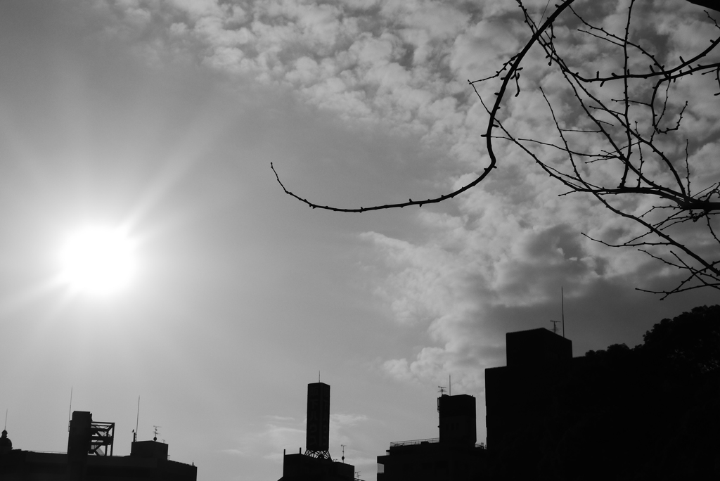 ビヨヨォ～ン (1)